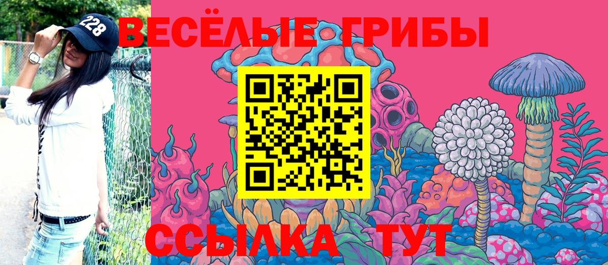 Псилоцибиновые грибы Psilocybine cubensis Урюпинск