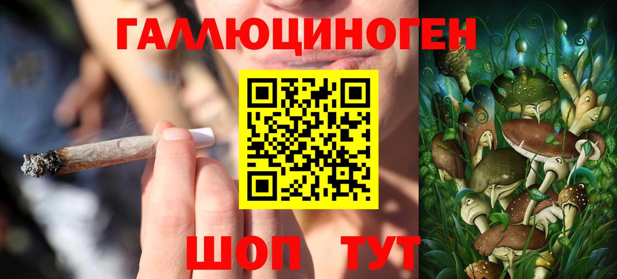 Урюпинск  Псилоцибиновые грибы мухоморы  Вход с VPN  Галлюциногенные грибы мицелий 
